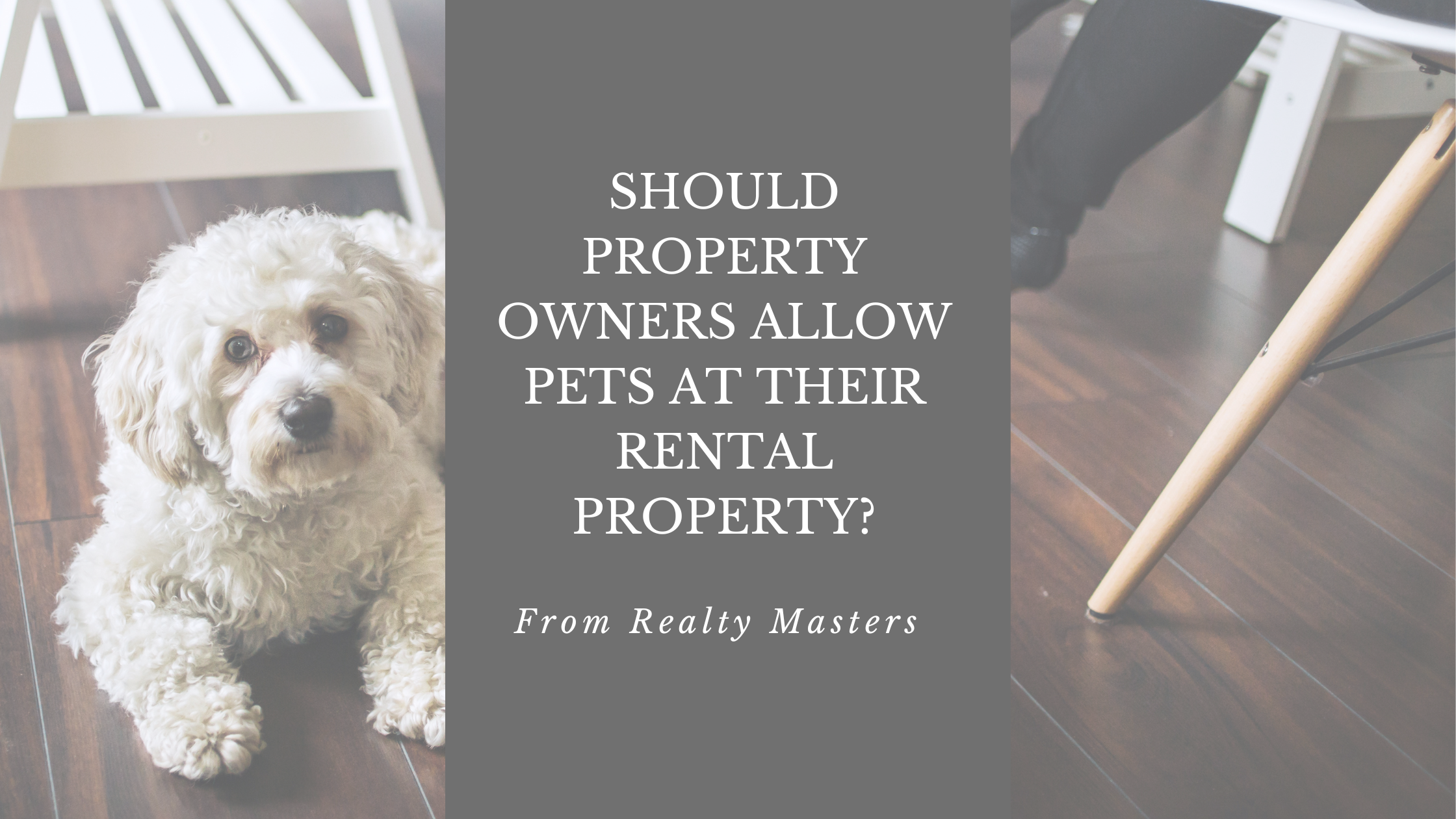 Should I accept pets at my rental property?
